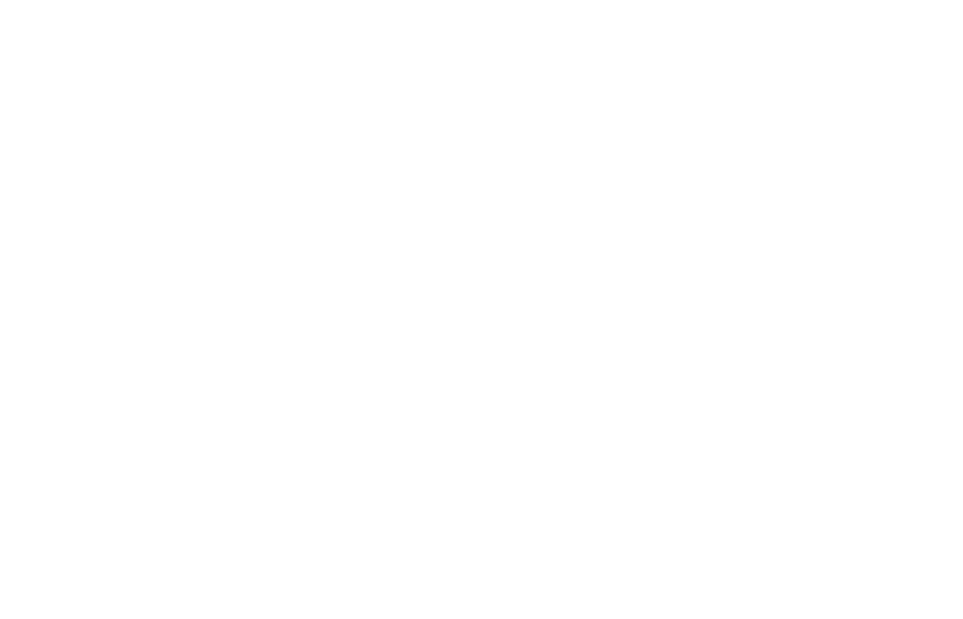 pep web digital bijeli logo